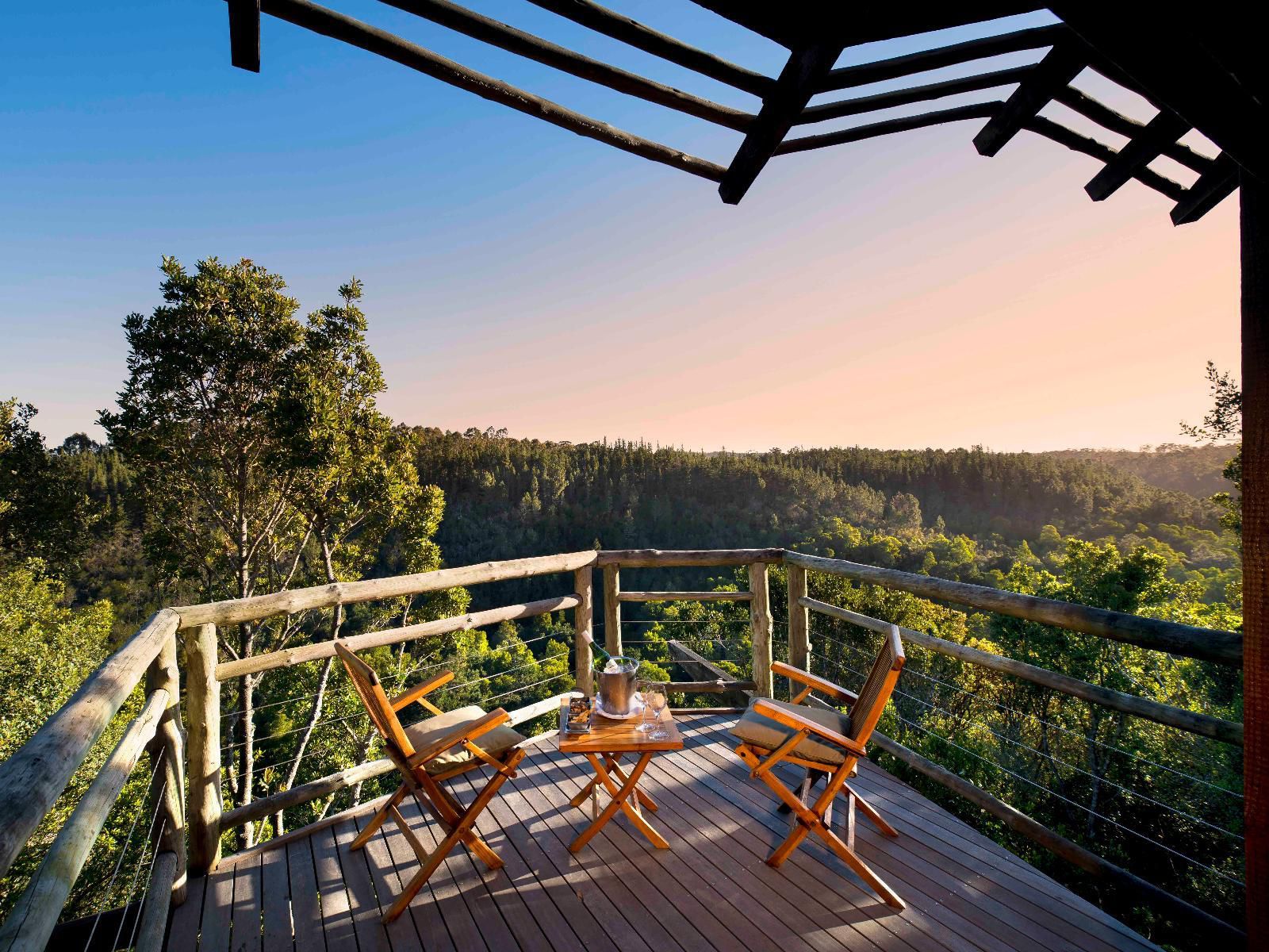 Tsala Treetop Lodge And Villas Plettenberg Bay Western Cape South Africa Complementary Colors