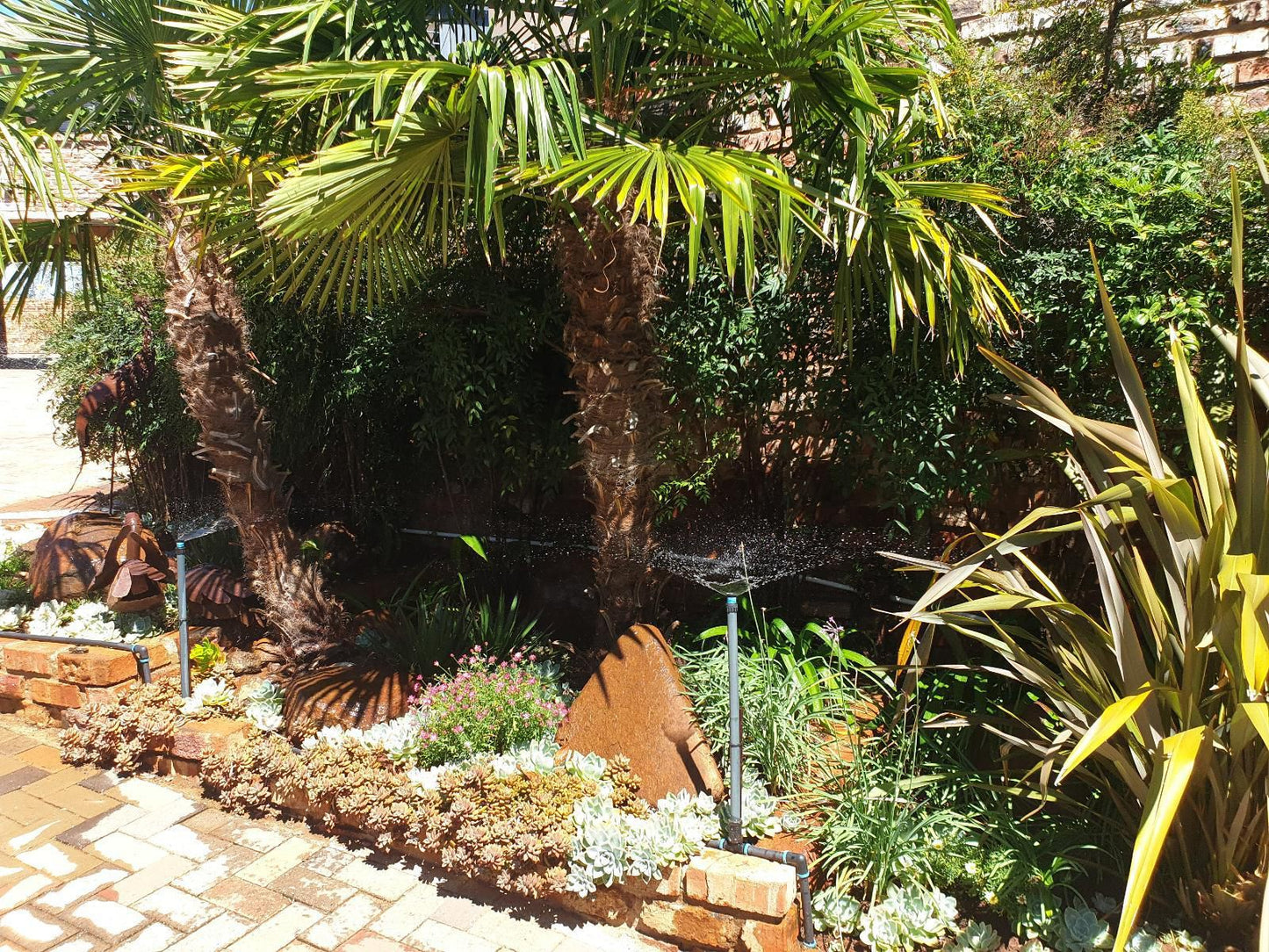 Tsessebe Guesthouse, Palm Tree, Plant, Nature, Wood, Garden