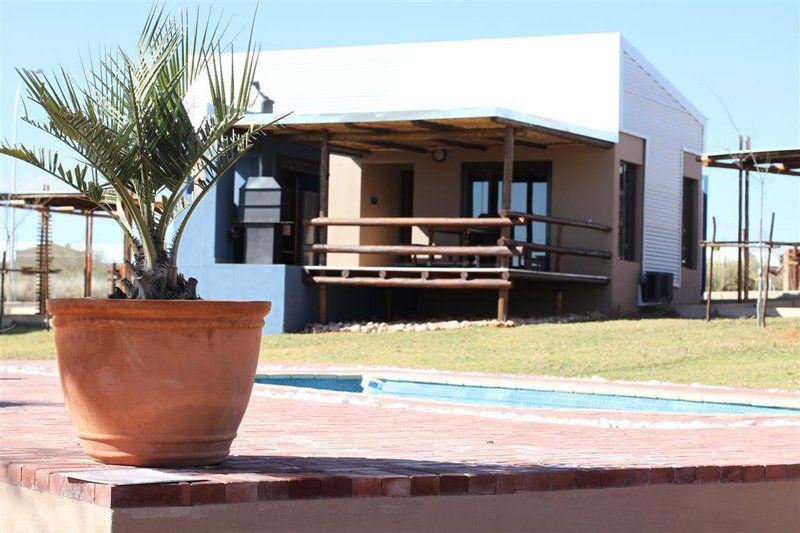 Complementary Colors, House, Building, Architecture, Palm Tree, Plant, Nature, Wood, Swimming Pool, Tshahitsi Lodge, Upington, Upington