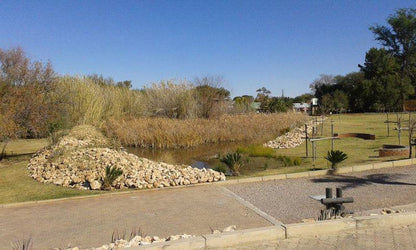 Complementary Colors, Palm Tree, Plant, Nature, Wood, Tshahitsi Lodge, Upington, Upington