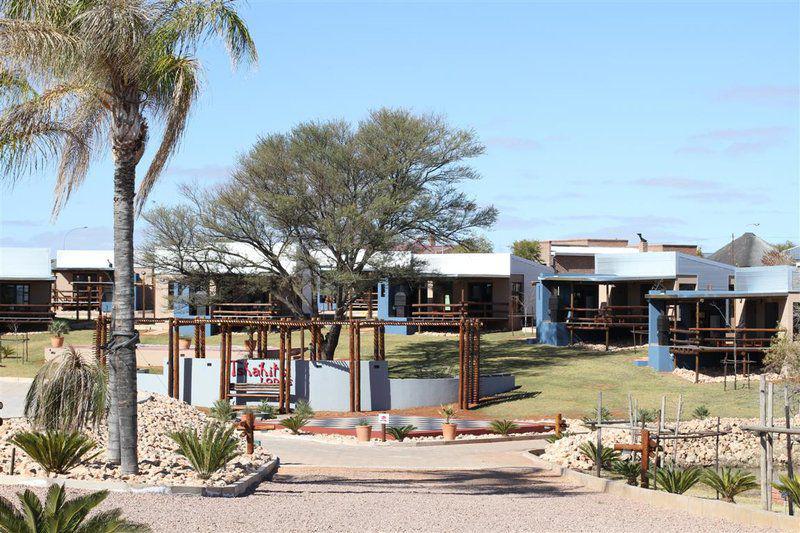 Palm Tree, Plant, Nature, Wood, Tshahitsi Lodge, Upington, Upington