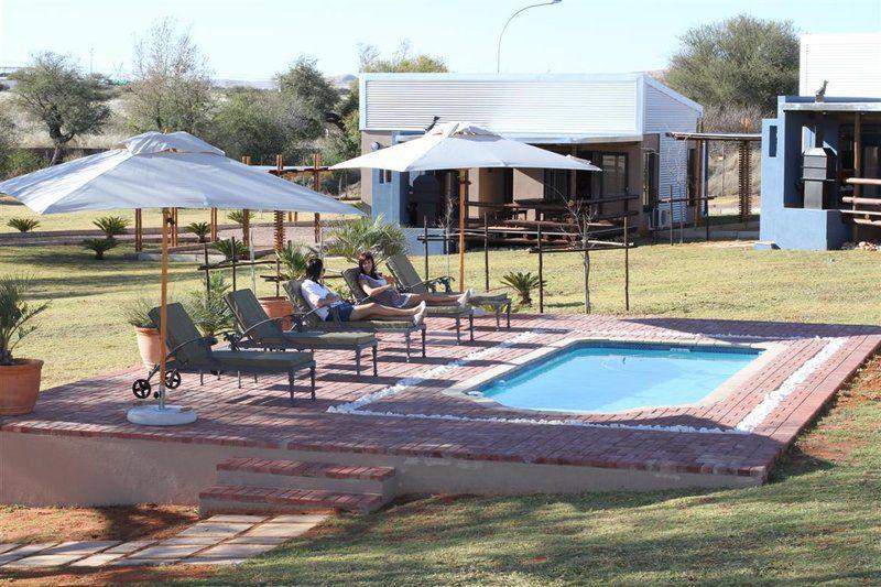 Palm Tree, Plant, Nature, Wood, Swimming Pool, Person, Tshahitsi Lodge, Upington, Upington