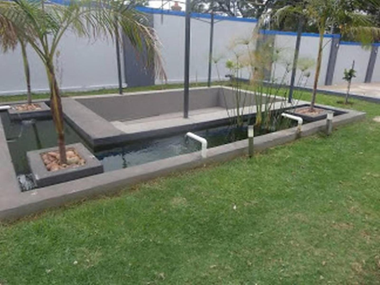Tshedza Guest House Muckleneuk Pretoria Tshwane Gauteng South Africa Palm Tree, Plant, Nature, Wood, Garden, Swimming Pool