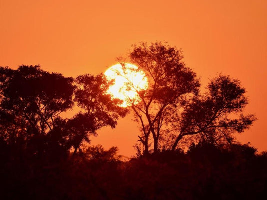 Tshima Bush Camp, Colorful, Sky, Nature, Sunset