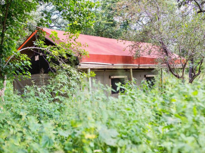 Tshima Bush Camp, Barn, Building, Architecture, Agriculture, Wood