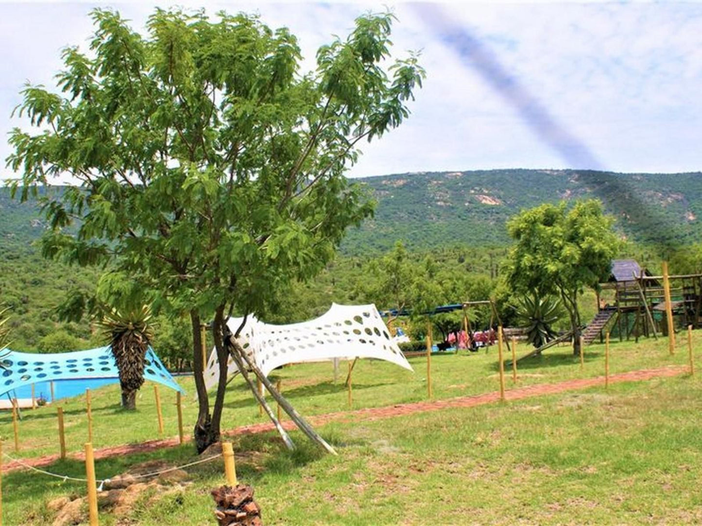 Tshinakie Family Resort Makgeng Haenertsburg Limpopo Province South Africa Complementary Colors, Tree, Plant, Nature, Wood
