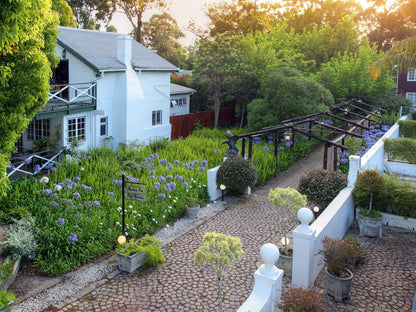 Tsitsikamma Village Inn Stormsriver Village Eastern Cape South Africa House, Building, Architecture, Plant, Nature, Garden