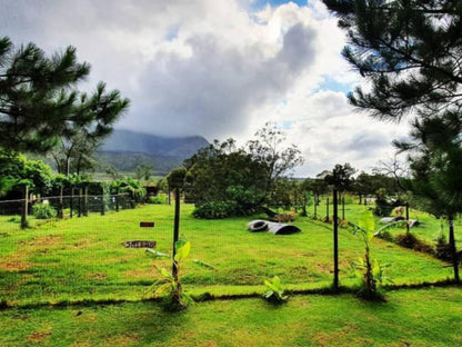 Tsitsikamma Wolf Sanctuary, Mountain, Nature, Highland