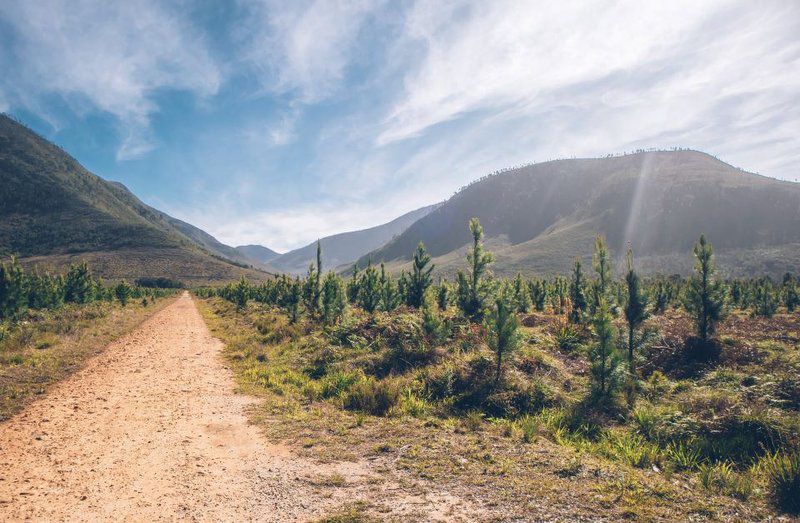 Tsitsikamma Lodge Tsitsikamma Eastern Cape South Africa Complementary Colors, Mountain, Nature