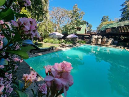 Tsitsikamma Lodge Tsitsikamma Eastern Cape South Africa Garden, Nature, Plant, Swimming Pool