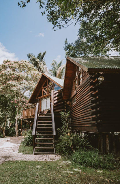 Tsitsikamma Lodge Tsitsikamma Eastern Cape South Africa Complementary Colors, Building, Architecture