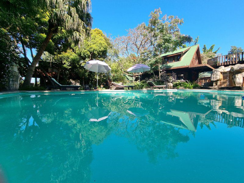 Tsitsikamma Lodge Tsitsikamma Eastern Cape South Africa Colorful, Swimming Pool