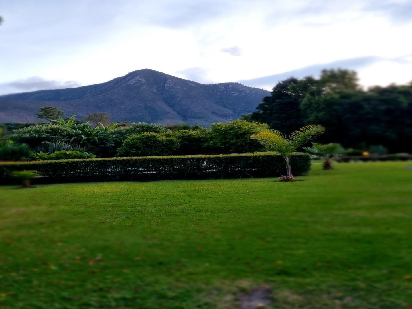 Tsitsikamma Manor Stormsriver Village Eastern Cape South Africa Highland, Nature