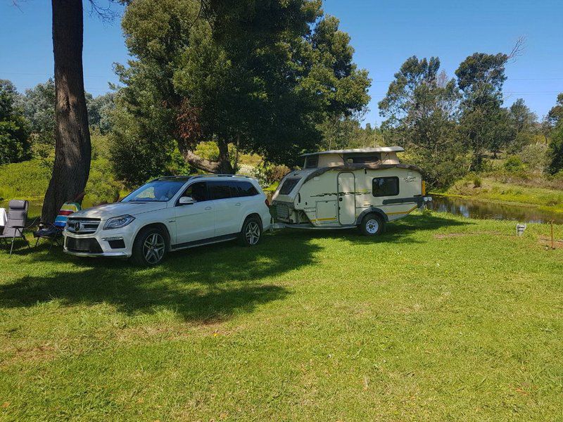 Tsitsikamma Sunrise Caravan Park Kurland Western Cape South Africa Car, Vehicle, Tent, Architecture