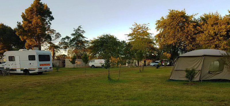 Tsitsikamma Sunrise Caravan Park Kurland Western Cape South Africa Tree, Plant, Nature, Wood, Cemetery, Religion, Grave
