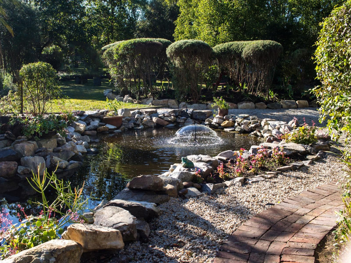 Tsitsikhaya Lodge Stormsriver Village Eastern Cape South Africa Plant, Nature, Garden