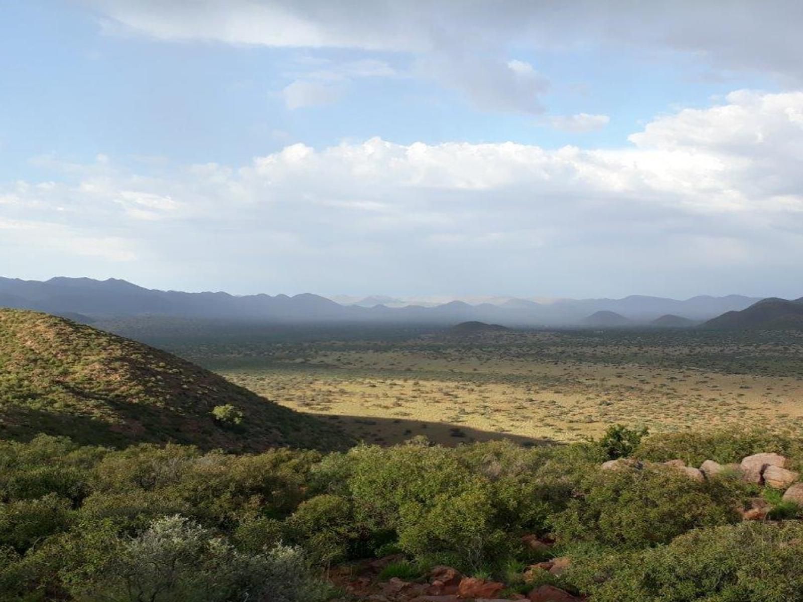 Tswalu Kalahari Reserve Hotazel Northern Cape South Africa Complementary Colors, Cactus, Plant, Nature, Desert, Sand