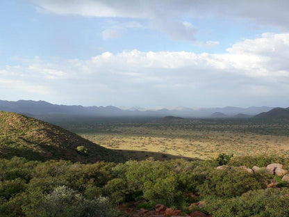 Tswalu Kalahari Reserve Hotazel Northern Cape South Africa Complementary Colors, Cactus, Plant, Nature, Desert, Sand