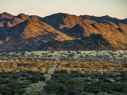 Tswalu Kalahari Reserve Hotazel Northern Cape South Africa Cactus, Plant, Nature, Desert, Sand