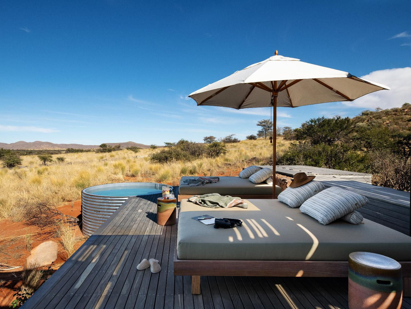 Tswalu Kalahari Reserve Hotazel Northern Cape South Africa Complementary Colors, Cactus, Plant, Nature, Bedroom, Desert, Sand