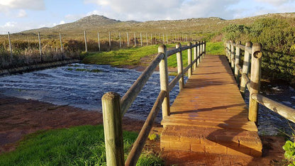 Tubular Swells Scarborough Cape Town Western Cape South Africa Bridge, Architecture, River, Nature, Waters, Highland