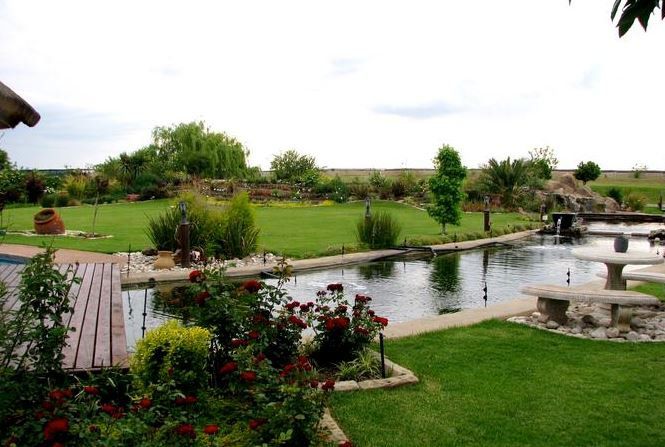 Tuff Top Self Catering Roodewal Bloemfontein Bloemfontein Free State South Africa Plant, Nature, Garden, Swimming Pool