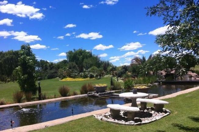 Tuff Top Self Catering Roodewal Bloemfontein Bloemfontein Free State South Africa Complementary Colors, Plant, Nature, Garden, Swimming Pool