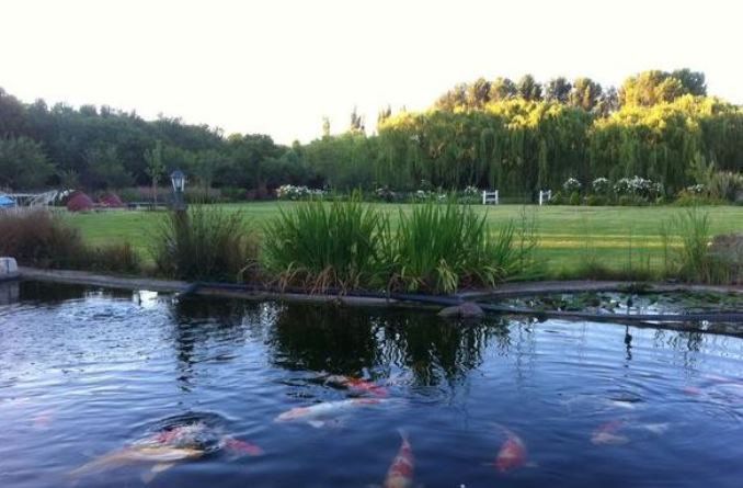 Tuff Top Self Catering Roodewal Bloemfontein Bloemfontein Free State South Africa Lake, Nature, Waters, River, Garden, Plant, Swimming Pool