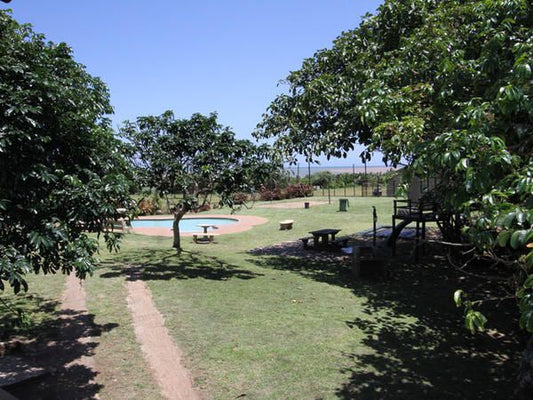 Tugela Mouth Resort Tugela Mouth Kwazulu Natal South Africa Palm Tree, Plant, Nature, Wood, Ball Game, Sport, Garden