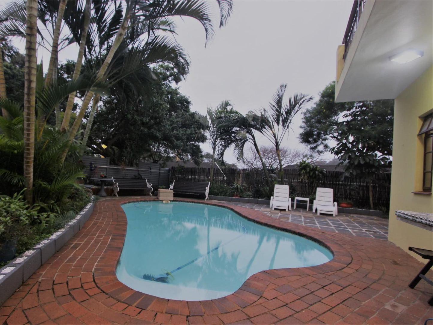 Tuksumduin Guesthouse Ballito Kwazulu Natal South Africa Palm Tree, Plant, Nature, Wood, Swimming Pool