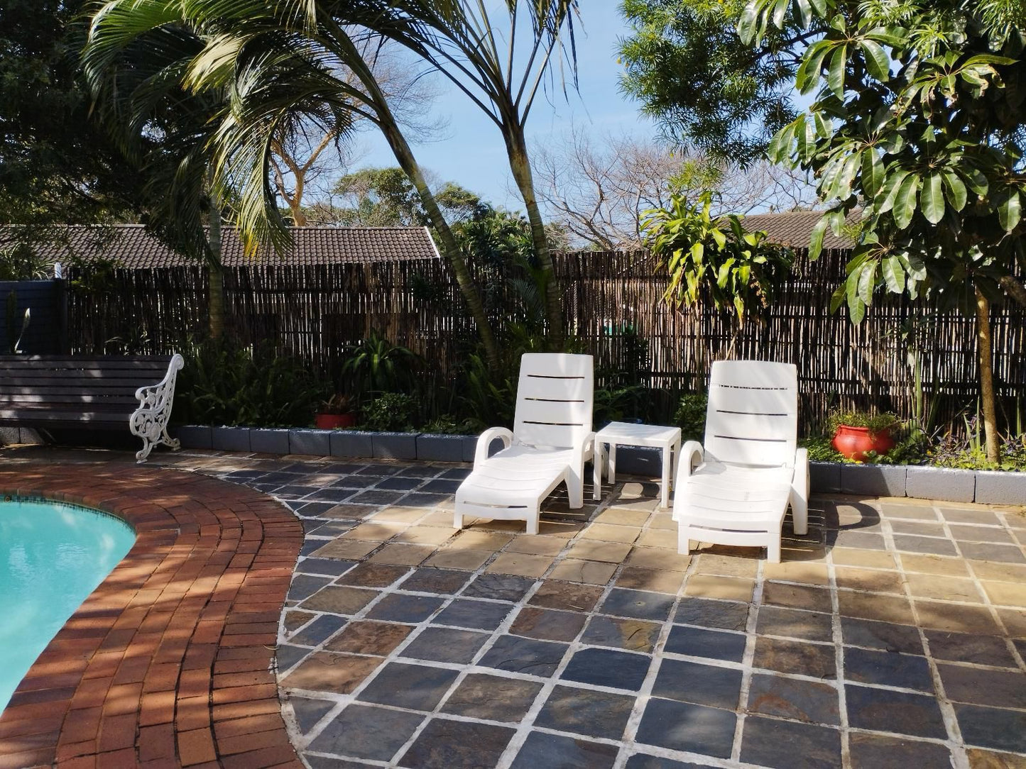 Tuksumduin Guesthouse Ballito Kwazulu Natal South Africa Palm Tree, Plant, Nature, Wood, Garden, Swimming Pool