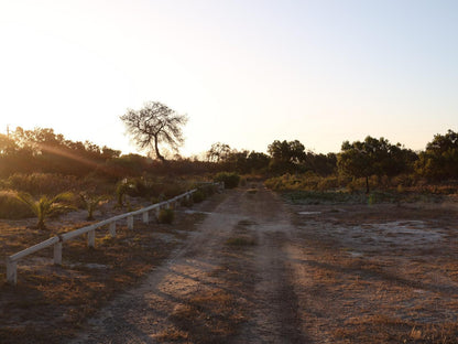 Tula Guest Farm, Field, Nature, Agriculture