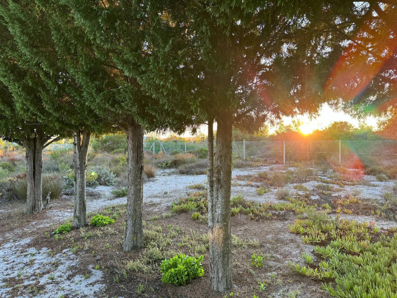 Tula Guest Farm, Plant, Nature, Tree, Wood, Garden