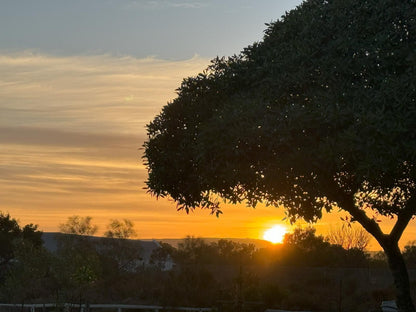 Tula Guest Farm, Sky, Nature, Sunset