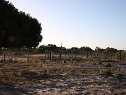 Tula Guest Farm, Field, Nature, Agriculture