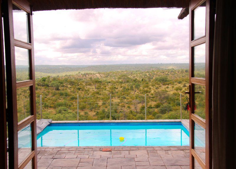 Tulani Manor Lodge Grietjie Nature Reserve Limpopo Province South Africa Swimming Pool