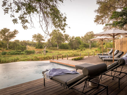 Tulela Safari Lodge Klaserie Private Nature Reserve Mpumalanga South Africa 