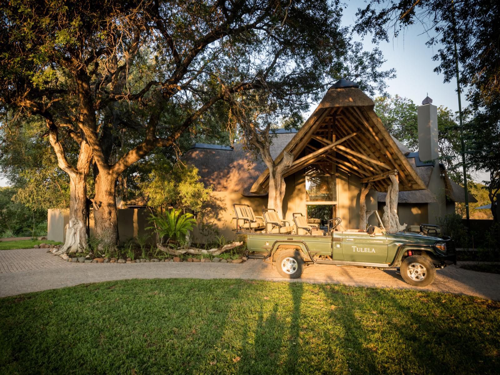 Tulela Safari Lodge Klaserie Private Nature Reserve Mpumalanga South Africa Palm Tree, Plant, Nature, Wood