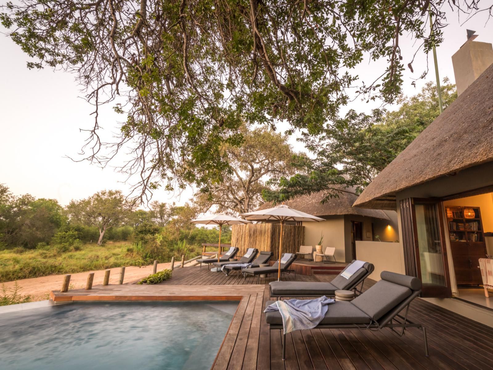 Tulela Safari Lodge Klaserie Private Nature Reserve Mpumalanga South Africa Swimming Pool