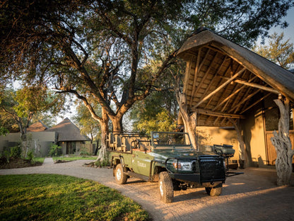 Tulela Safari Lodge Klaserie Private Nature Reserve Mpumalanga South Africa Autumn, Nature