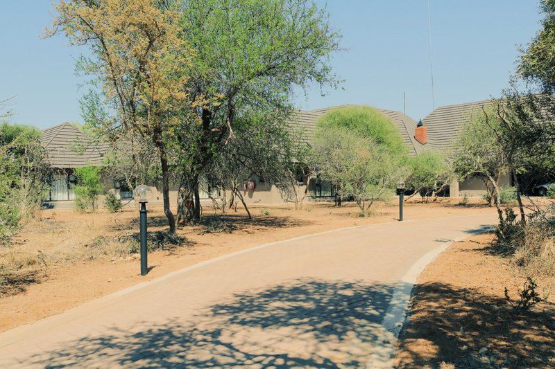 Tumbili Lodge Mabalingwe Nature Reserve Bela Bela Warmbaths Limpopo Province South Africa 