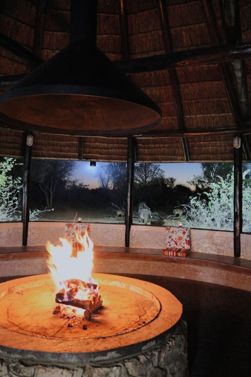 Tumbili Lodge Mabalingwe Nature Reserve Bela Bela Warmbaths Limpopo Province South Africa Fire, Nature, Fireplace