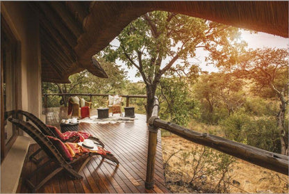 Tuningi Safari Lodge Madikwe Game Reserve North West Province South Africa 