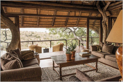 Tuningi Safari Lodge Madikwe Game Reserve North West Province South Africa 