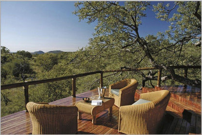 Tuningi Safari Lodge Madikwe Game Reserve North West Province South Africa 