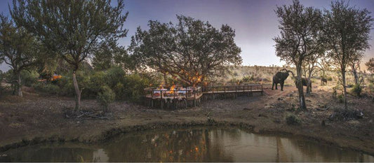 Tuningi Safari Lodge Madikwe Game Reserve North West Province South Africa Unsaturated, Bridge, Architecture, River, Nature, Waters