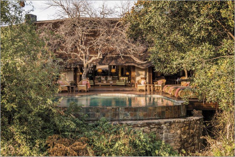 Tuningi Safari Lodge Madikwe Game Reserve North West Province South Africa Garden, Nature, Plant, Swimming Pool