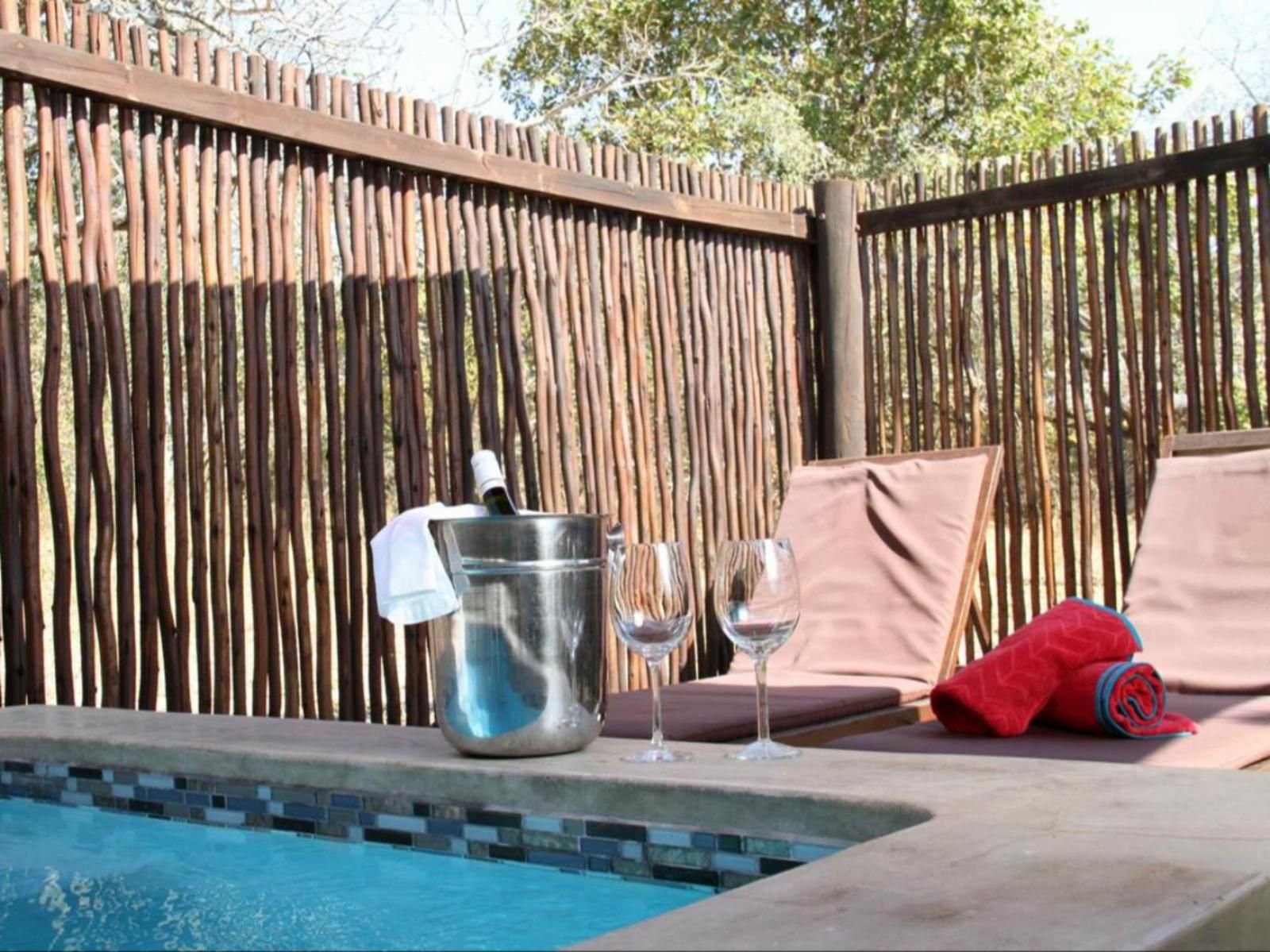 Turaco Lodge Marloth Park Mpumalanga South Africa Swimming Pool