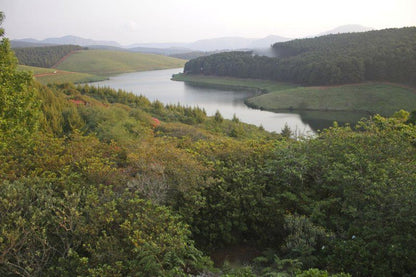 Turaco Farm Cottage Haenertsburg Limpopo Province South Africa Lake, Nature, Waters, River, Tree, Plant, Wood, Highland