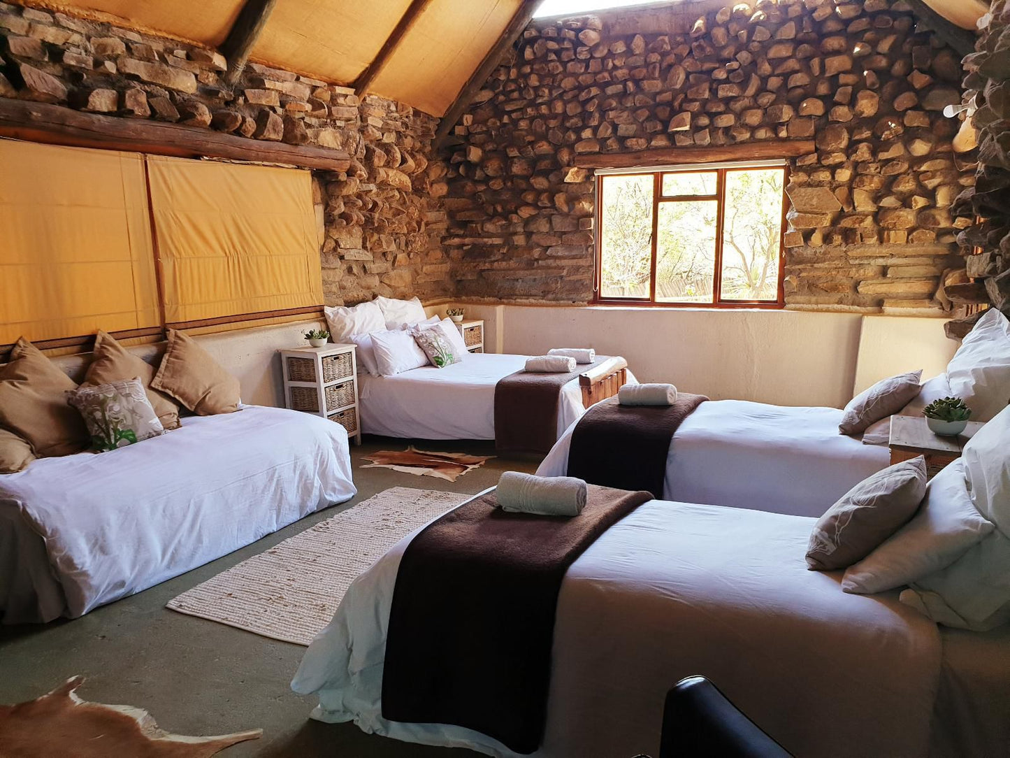 Turksvygrivier Safari S Pearston Eastern Cape South Africa Bedroom